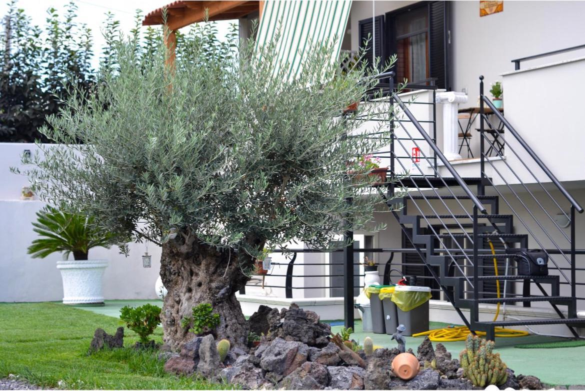 Pompei Gryllus Bed & Breakfast Exterior foto
